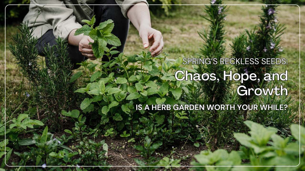 background image of herb garden, title Spring’s Reckless Seeds: chaos, hope, and growth. Is a herb garden worth your while?